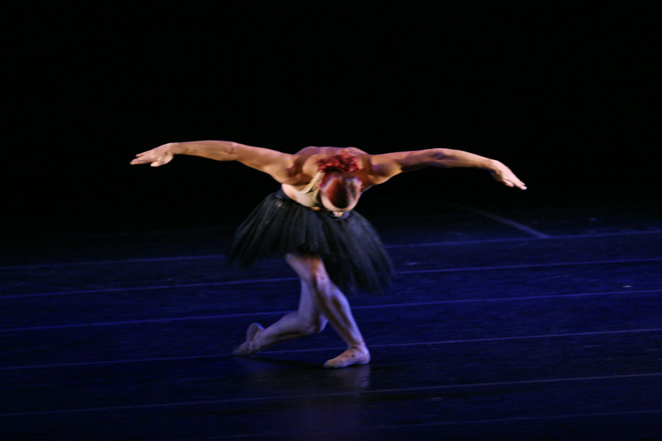 Revoadas - Gigi Caciuleanu - Cisne Negro Cia de Dança